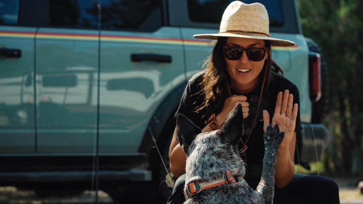 Life Is Better With a Dog