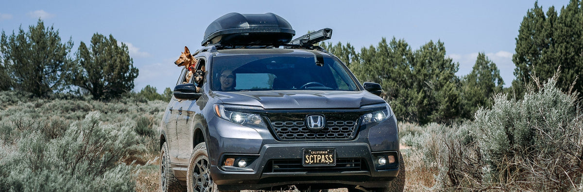 Meet Scout, and Her Human